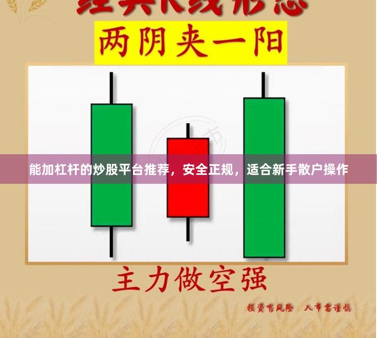能加杠杆的炒股平台推荐，安全正规，适合新手散户操作