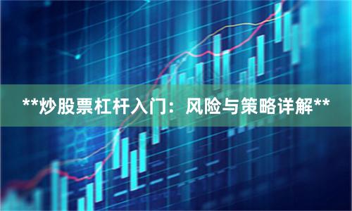 **炒股票杠杆入门：风险与策略详解**